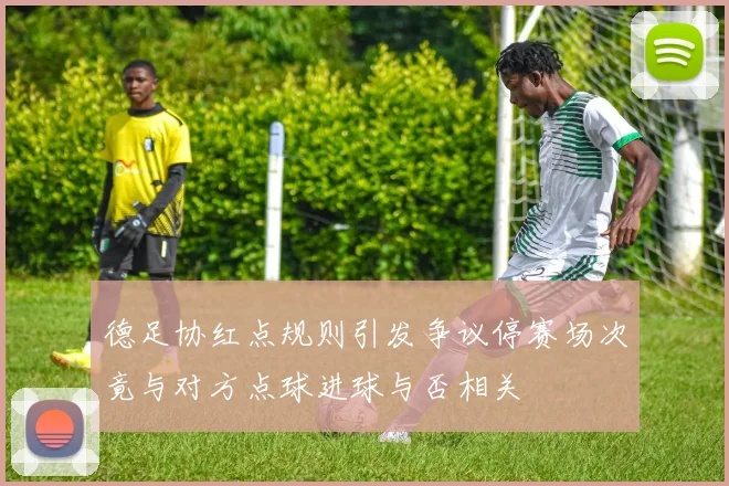 德足协红点规则引发争议停赛场次竟与对方点球进球与否相关